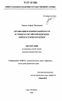 Организация исполнительной власти в субъектах Российской Федерации: вопросы теории и практики тема диссертации по юриспруденции