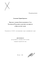 Правовые позиции Конституционного Суда Российской Федерации в решениях по вопросам избирательного права тема автореферата диссертации по юриспруденции