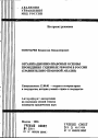 Организационно-правовые основы проведения судебных реформ в России тема автореферата диссертации по юриспруденции