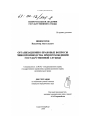 Организационно-правовые вопросы чинопроизводства при прохождении государственной службы тема диссертации по юриспруденции