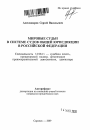 Мировые судьи в системе судов общей юрисдикции в Российской Федерации тема автореферата диссертации по юриспруденции
