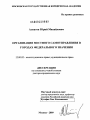 Организация местного самоуправления в городах федерального значения тема диссертации по юриспруденции