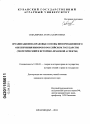 Организационно-правовые основы информационного обеспечения выборов в Российском государстве тема диссертации по юриспруденции