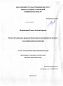 Конституционно-правовой механизм внешней политики Австрийской республики тема диссертации по юриспруденции