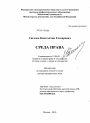 Среда права тема диссертации по юриспруденции