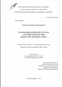 Организация банковской системы в Российской Федерации тема диссертации по юриспруденции