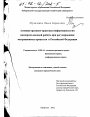 Административно-правовая информациология паспортно-визовой работы при регулировании миграционных процессов в Российской Федерации тема диссертации по юриспруденции